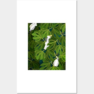 Three Cockies Fig Tree Posters and Art